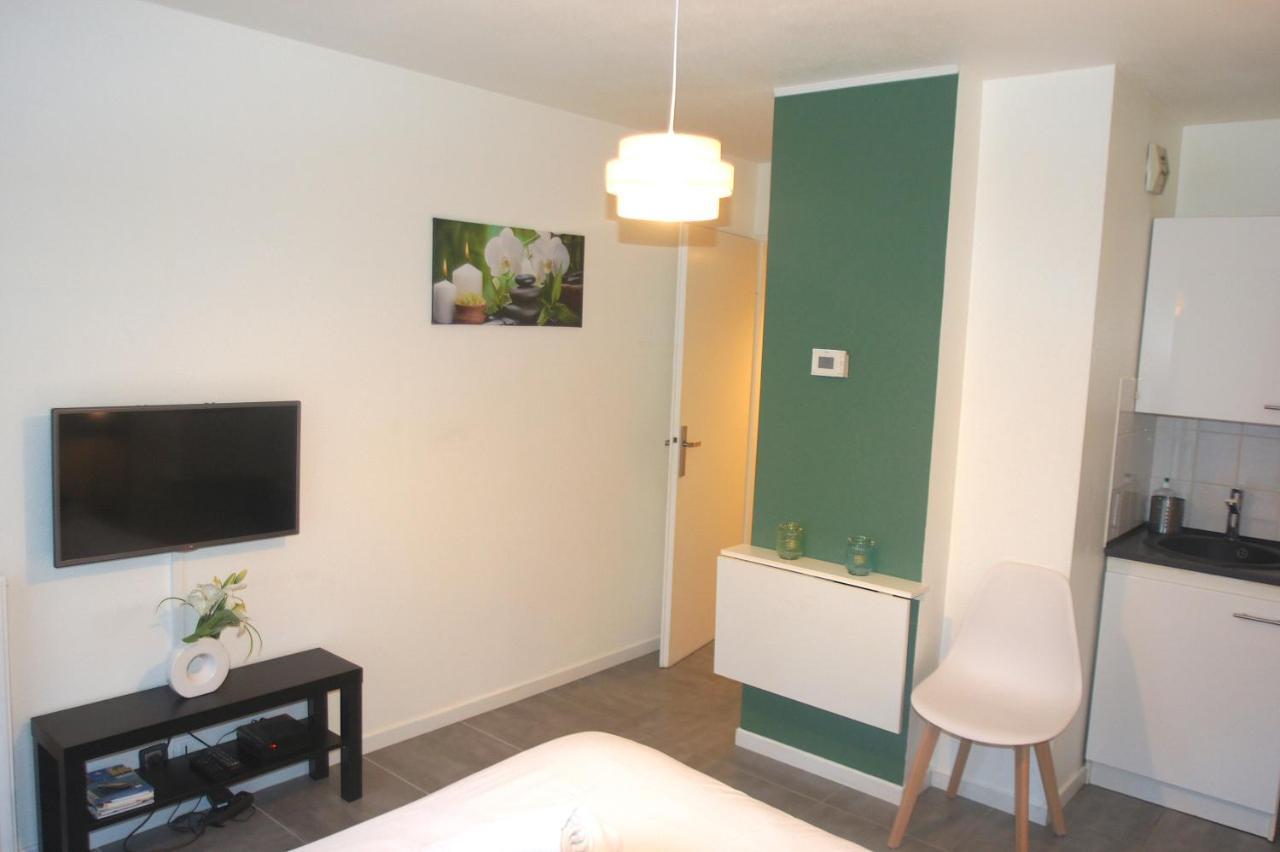 Le Saint Eloi - Studio Avec Parking Toulouse Centre Apartment Exterior photo